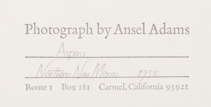 Aspens, Northern New Mexico (H) Original Photograph Ansel Adams 