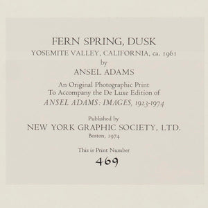 Fern Springs, Dusk Original Photograph Ansel Adams 