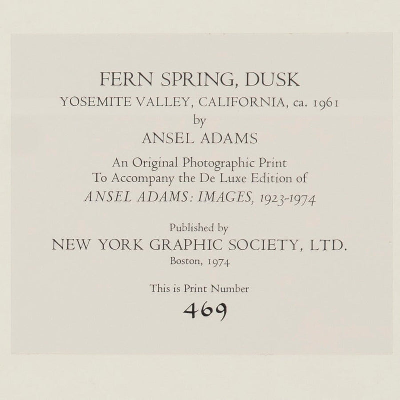 Fern Springs, Dusk Original Photograph Ansel Adams 