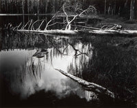 Siesta Lake Original Photograph Ansel Adams 