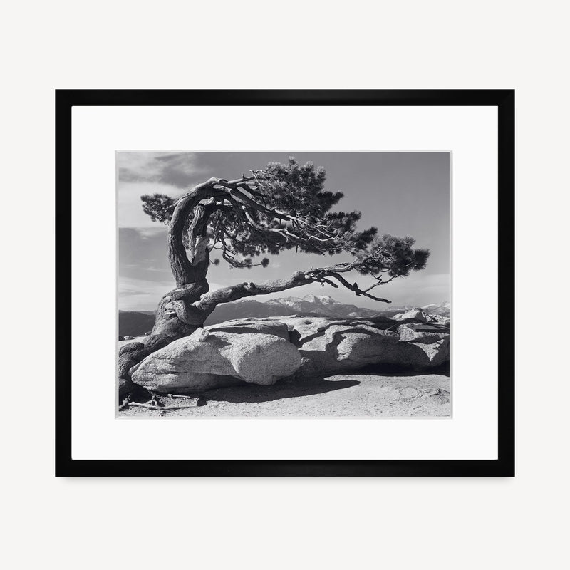 Jeffrey Pine Shop Ansel Adams Gallery Framed Standard 8x10" Black Wood