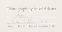 Aspens, Northern New Mexico (H) Original Photograph Ansel Adams 