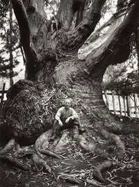 Edward Weston, Carmel Highlands Original Photograph Ansel Adams 