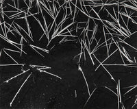 Grass and Pool Original Photograph Ansel Adams 