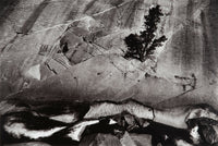 Junipers, Cliffs, Merced River Original Photograph Ansel Adams 