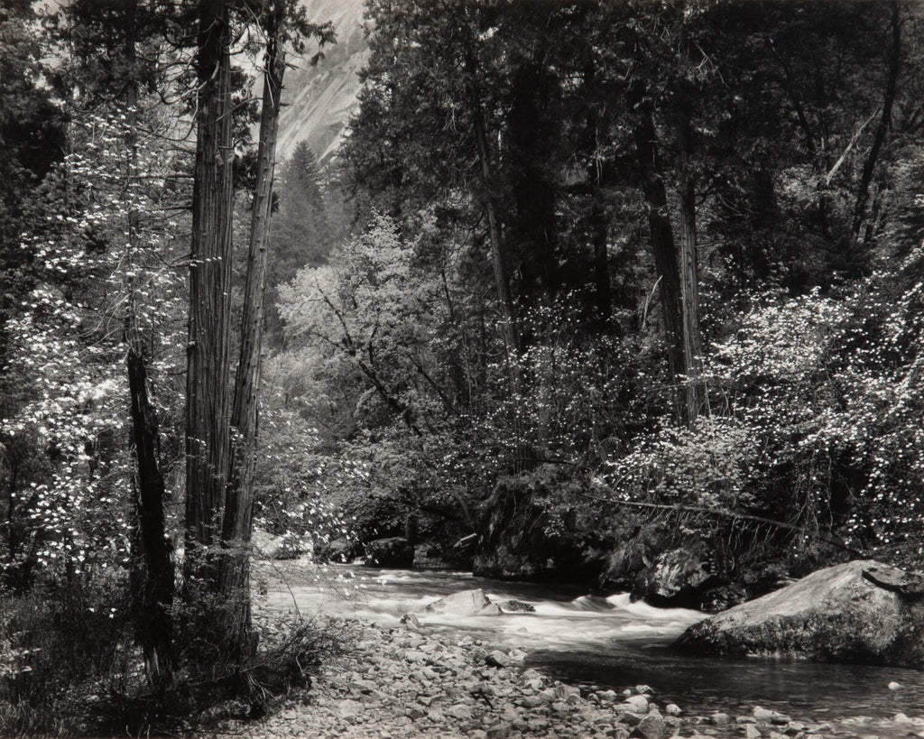 Tenaya Creek, Spring Rain Original Photograph Ansel Adams 