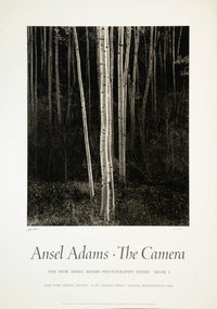 Aspens, Northern New Mexico (V) Shop_Sign_AAOP Ansel Adams Gallery 