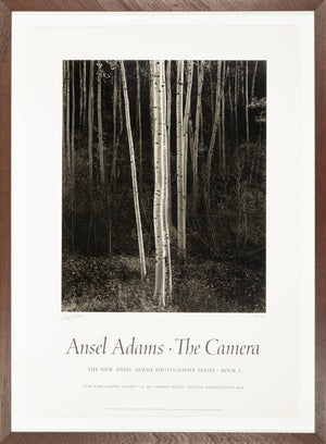 Aspens, Northern New Mexico (V) Shop_Sign_AAOP Ansel Adams Gallery 