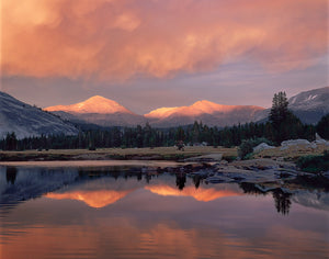 Mt. Dana and Mt. Gibbs Reflected in the Tuolumne River Shop William Neill 11"x14" 