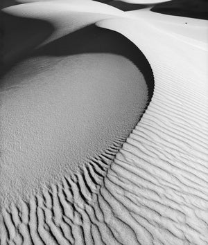 Curved Dune, Death Valley Shop Alan Ross 