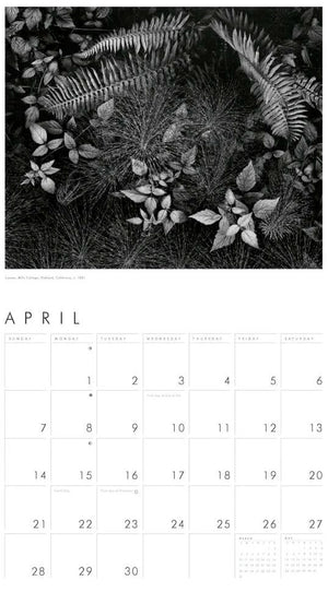 Ansel Adams 2025 Wall Calendar Shop Little, Brown 