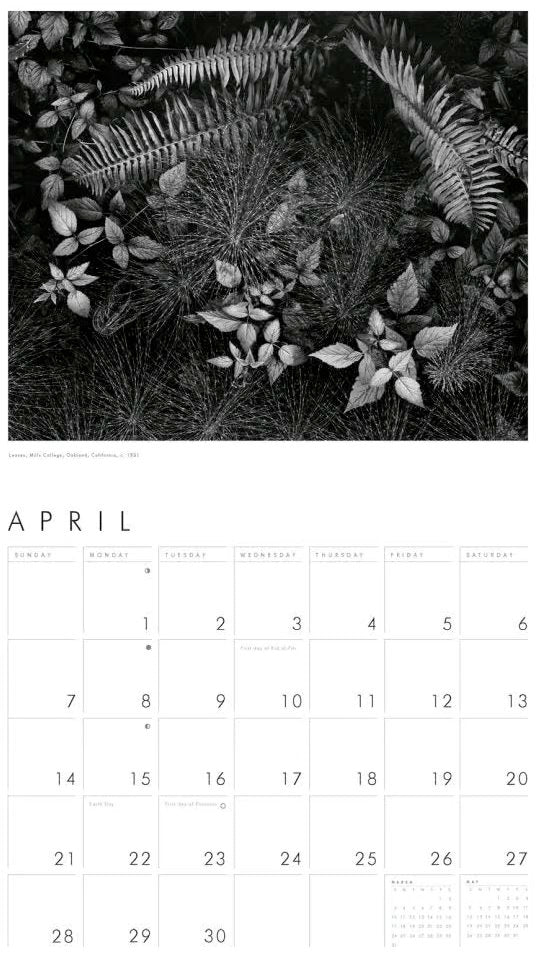 Ansel Adams 2025 Wall Calendar Shop Little, Brown 