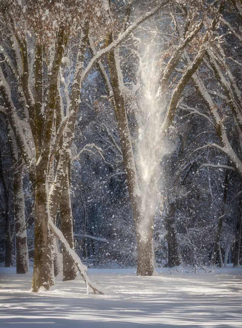 Snow Spirits Shop charlotte gibb 