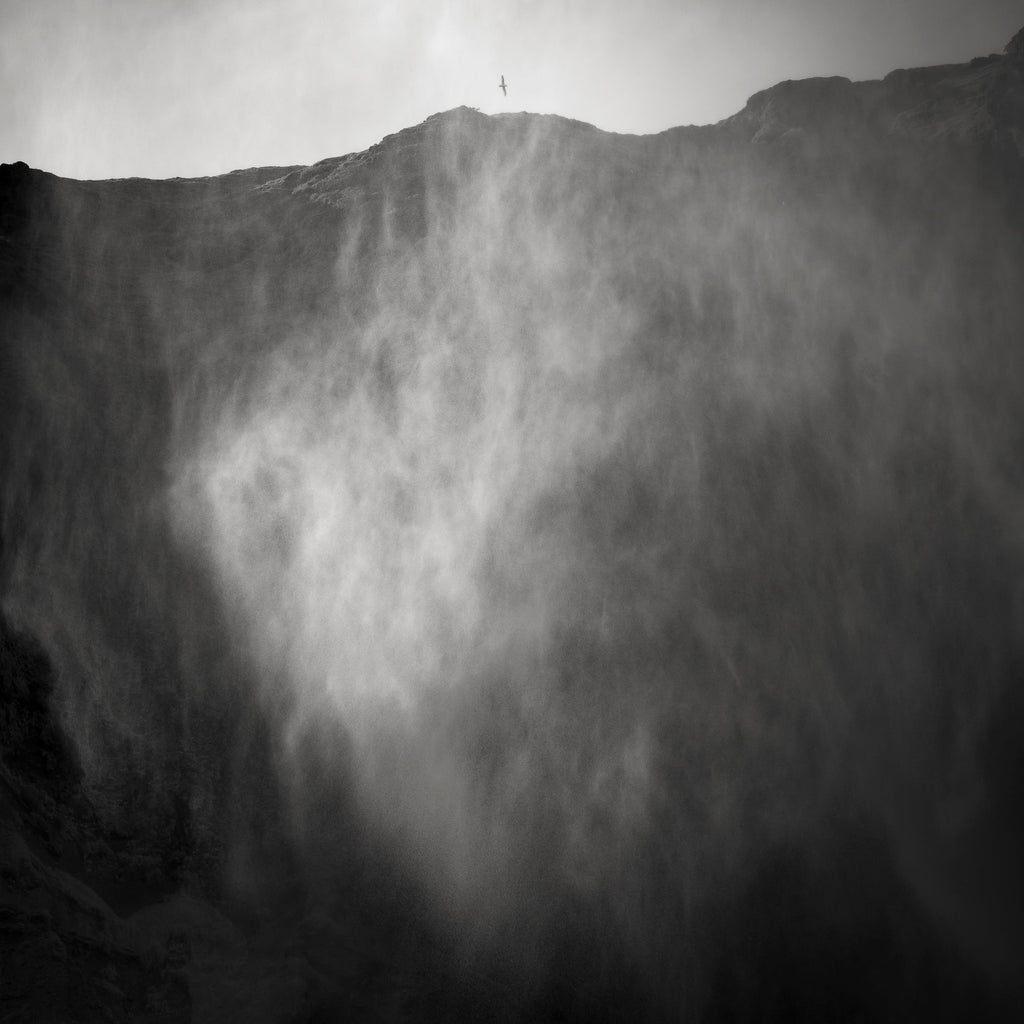 Waterfall Spray and Flight, Iceland, 2017 Shop_RepArtist Jeffrey Conley 