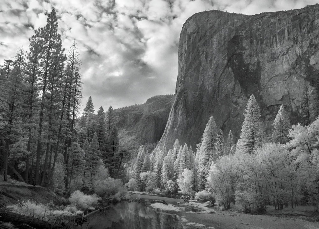 El Capitan, Clouds, Forest Glow Shop Alan Ross 