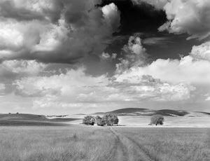 Farm and Clouds, Mule Creek, New Mexico Shop Alan Ross 11"x14" 