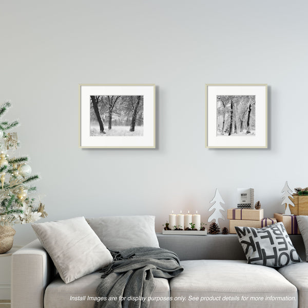 Install_Winter-Trees-Fog_Black_Oaks_Snowstorm_grande.jpg?v=1699477141