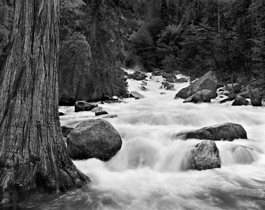 Merced River from Happy Isles Shop Alan Ross 11x14" 