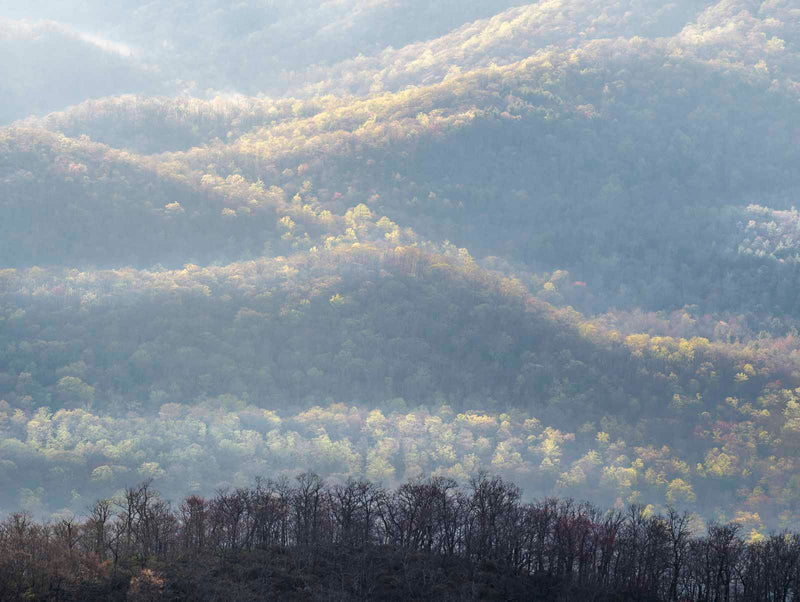 Morning Mist, Ridges, Appalachian Mountains Shop Charles Cramer 11"x14" 