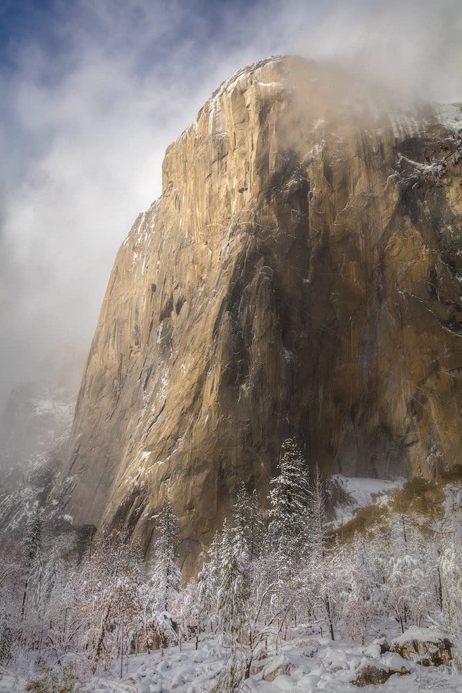 Quintessential Yosemite Shop charlotte gibb 