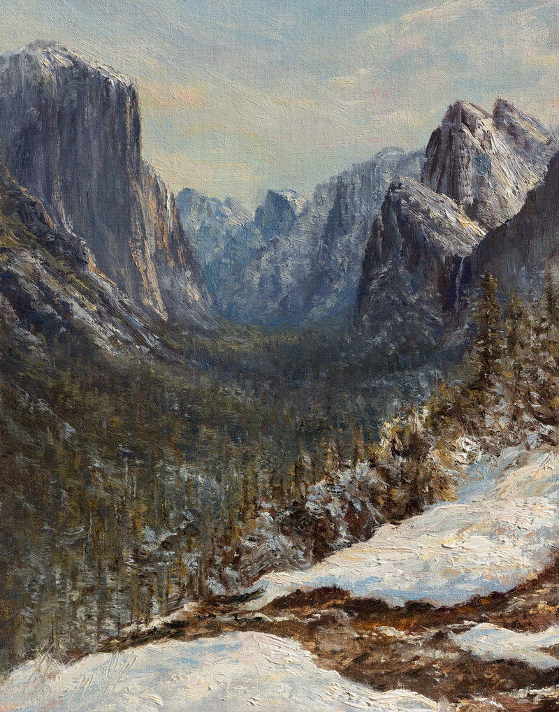 Snowy Yosemite Morning with Bluebirds Shop James McGrew 