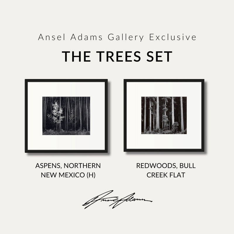 The Trees Set Shop Ansel Adams Gallery Standard Framed Set 8x10" 8x10" Black Wood