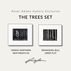 The Trees Set Shop Ansel Adams Gallery Standard Framed Set 8x10" 8x10" German Silver Metal