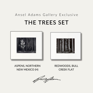 The Trees Set Shop Ansel Adams Gallery Standard Framed Set 8x10" 8x10" Graphite Metal