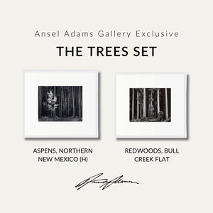 The Trees Set Shop Ansel Adams Gallery Standard Framed Set 8x10" 8x10" White Wood