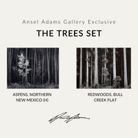 The Trees Set Shop Ansel Adams Gallery Unframed Set 8x10" 8x10" No Color