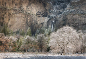 The Heart of Yosemite Shop charlotte gibb 