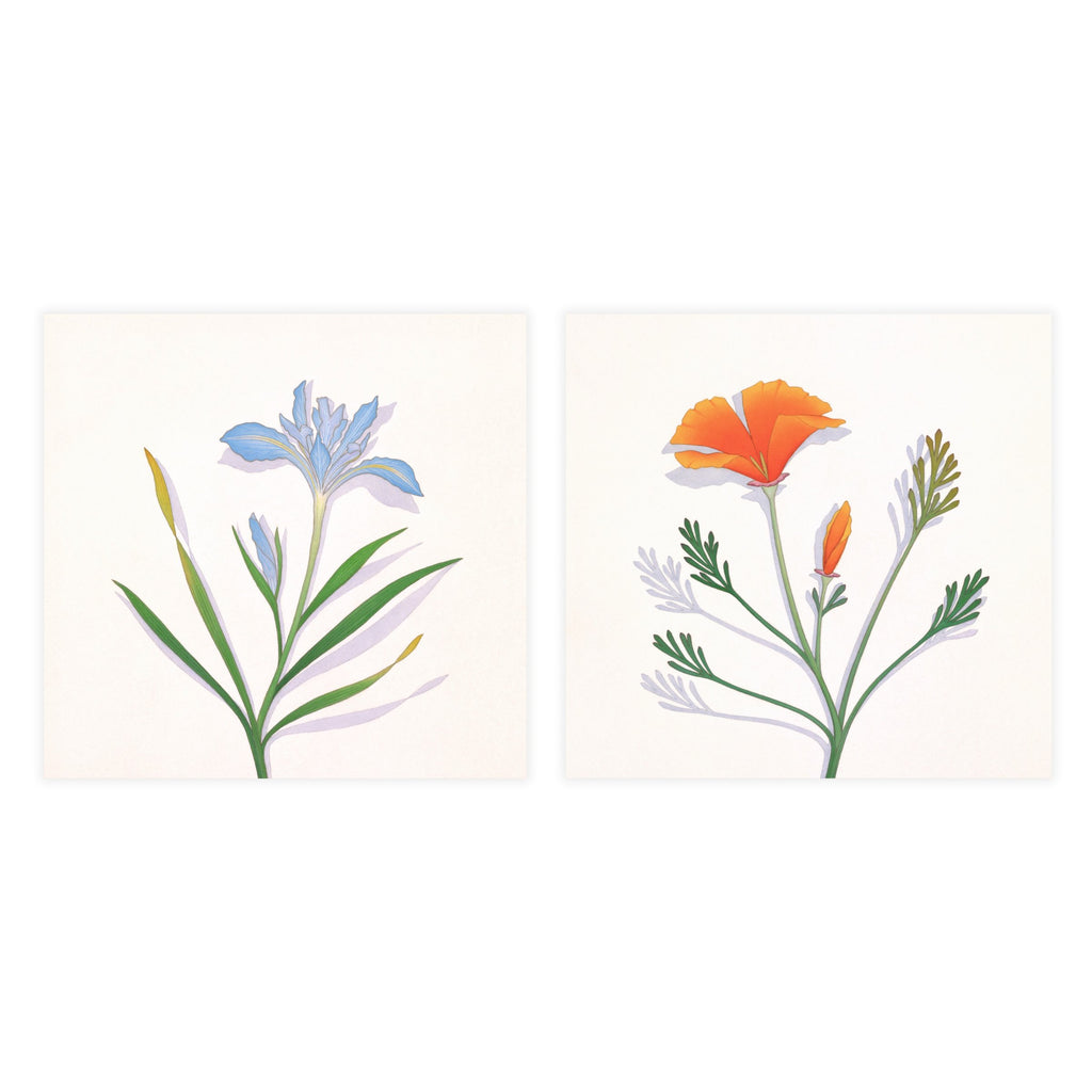 Opposites Attract: Wild Iris & California Poppy Shop Sally Owens 