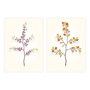 Mirror Image: Western Redbud, Early Spring Shop Sally Owens 