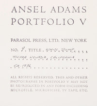 White Stump Original Photograph Ansel Adams 