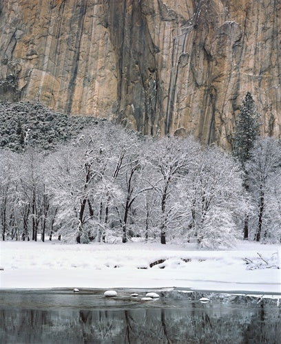 Black Oaks, Merced River and El Capitan Shop William Neill 16"x20" 