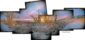 Dawn at Mono Lake in Winter Shop Ted Orland 12"x20" 