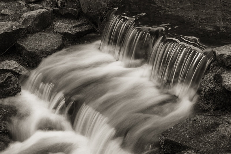 Fern Spring No. 2, Yosemite National Park.