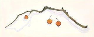 Aspen Branch with Three Leaves Shop Sally Owens 