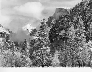 Winter Snow, Yosemite National Park Shop Bob Kolbrener 16"x20" 