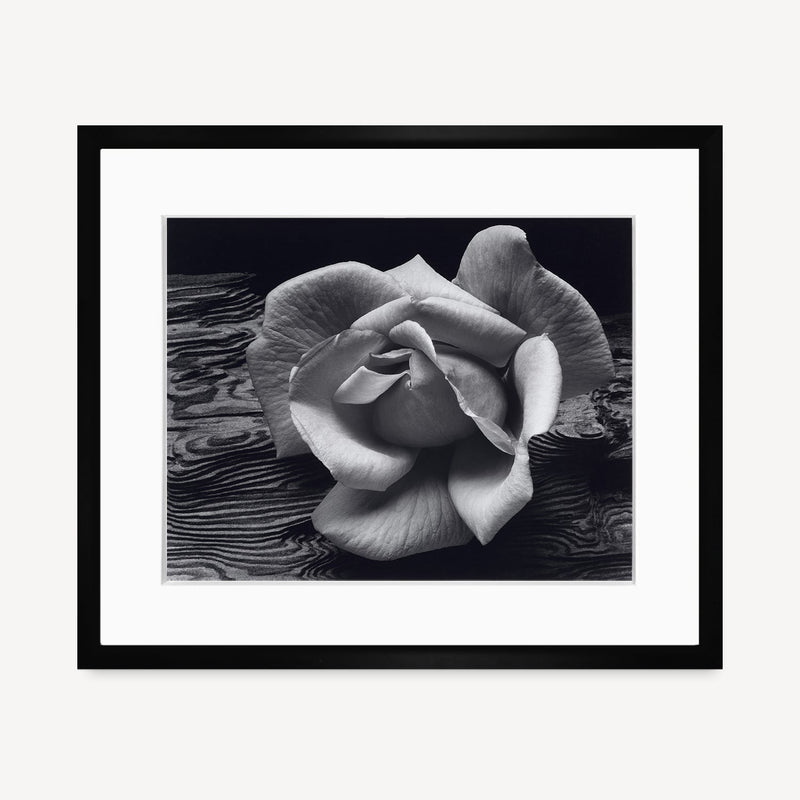 Rose and Driftwood Shop Ansel Adams Gallery Framed Standard 8x10" Black Wood