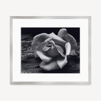 Rose and Driftwood Shop Ansel Adams Gallery Framed Standard 8x10" German Silver Metal