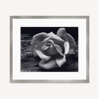 Rose and Driftwood Shop Ansel Adams Gallery Framed Standard 8x10" Graphite Metal