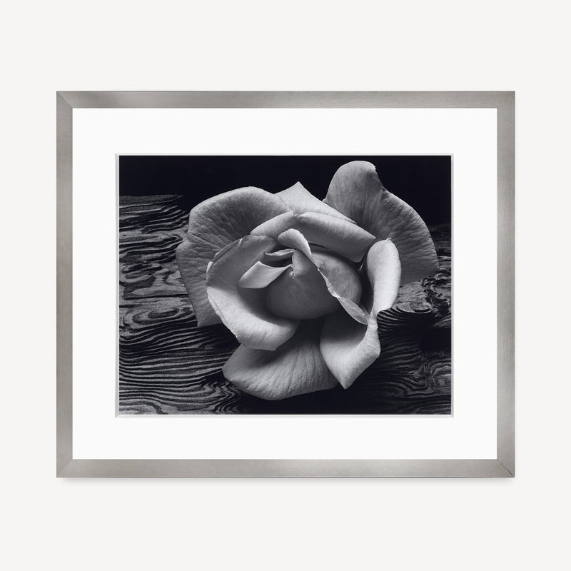 Rose and Driftwood Shop Ansel Adams Gallery Framed Standard 8x10" Graphite Metal