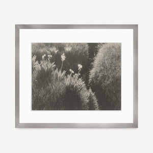 Sierra Meadow Shop Ansel Adams Gallery Framed Standard 8x10" Graphite Metal
