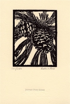 Jeffrey Pine Cones Shop Della Taylor Hoss 6"x9" 