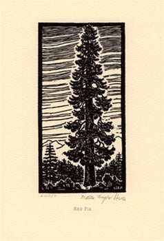 Red Fir Shop Della Taylor Hoss 6"x9" 