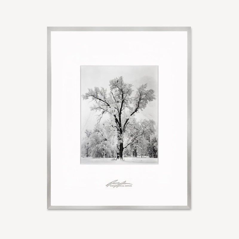 Oak Tree, Snowstorm Shop Ansel Adams Framed Standard German Silver Metal 