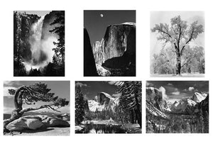 Complete Set of 29 Yosemite Special Edition Photographs Shop Ansel Adams Framed Standard White Wood 