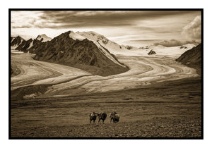 Altai Mountains and Camels, Mongolia, 2022 Shop Kerik Kouklis 8x12" 