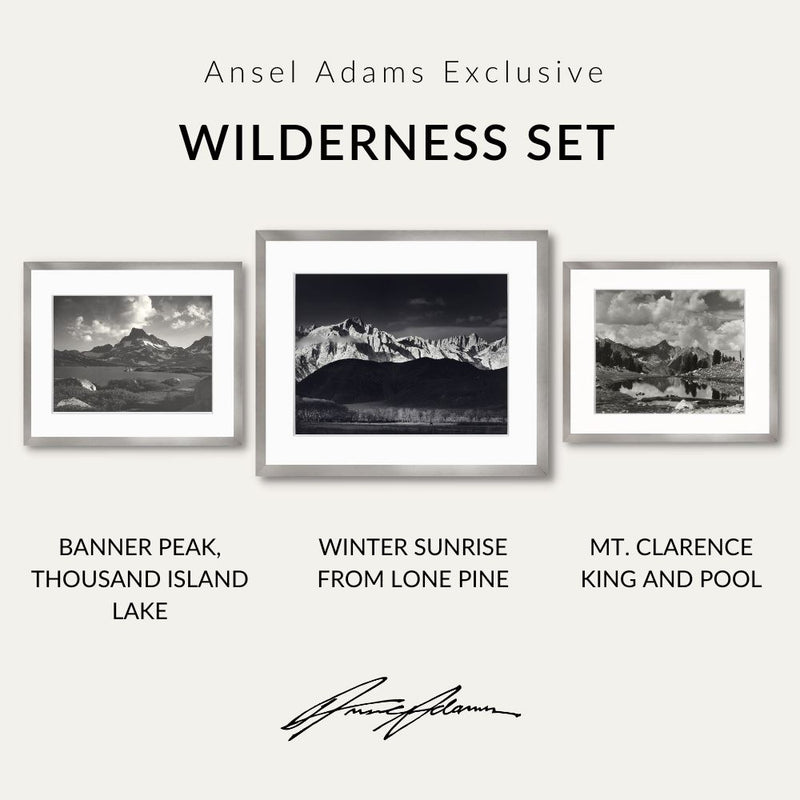Wilderness Set Shop Ansel Adams Gallery Standard Framed Set 8x10" 11x14" 8x10" Graphite Metal
